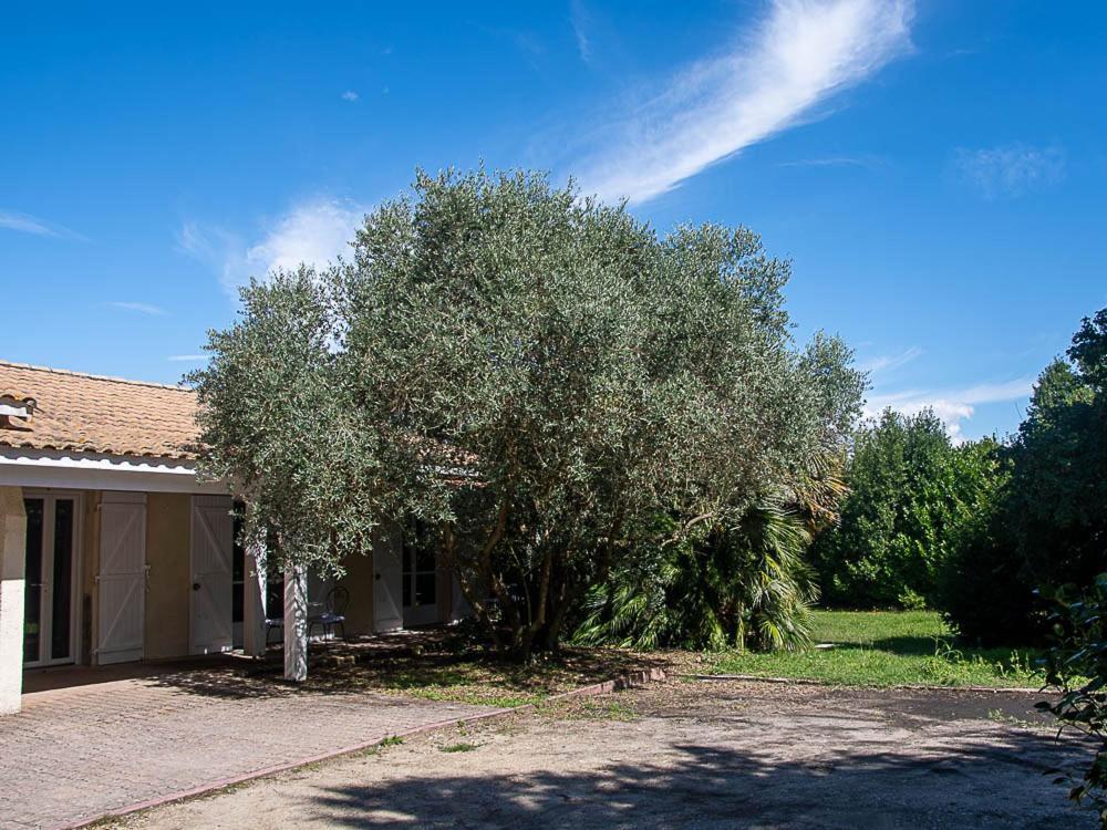 Bed and Breakfast Au Detour Des Vignes Ordonnac Экстерьер фото